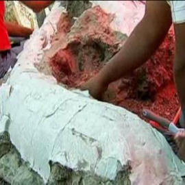 Un mamut de hace diez mil años 