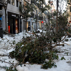12/01/2021.- Vista de la nieve y los árboles caídos en la acera de la calle Fuencarral (Madrid).