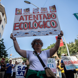 Una mujer sostiene una pancarta en la manifestación ecologista de Tenerife de este sábado