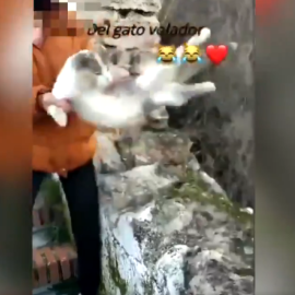 Una joven de Deifontes arroja a una gata por un barranco y sube un vídeo burlándose.