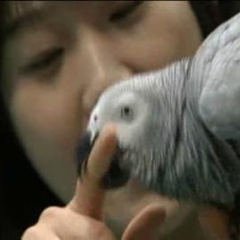 Un loro se convierte en la mayor atracción de un zoo de Seúl