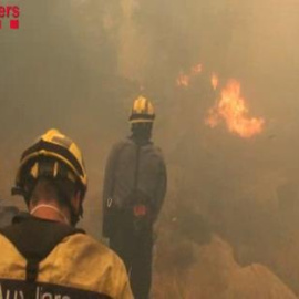 La Generalitat propone que los presos conmuten penas con trabajos forestales