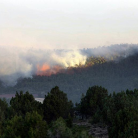 Controlado el incendio en el parque natural del Alto Tajo (Guadalajara).