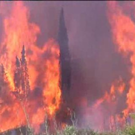 Un incendio declarado en San Roque obliga a desalojar casi un centenar de viviendas 