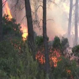 Nuevo incendio en Palma de Mallorca