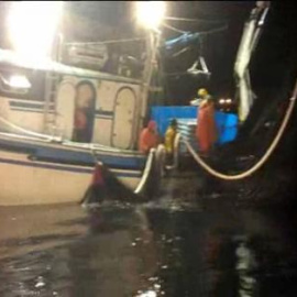 Los pescadores españoles salen a faenar frente al peñón