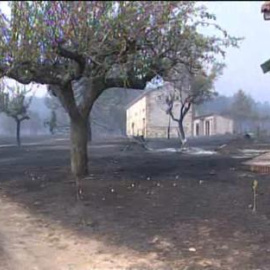 El incendio de Castrocontrigo en León ya ha calcinado más de 8.000 hectareas