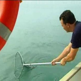 Plaga de medusas en Estepona