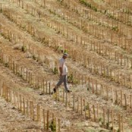 ¿La tierra para el que la trabaja?