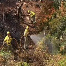 El desolador paisaje tras el incendio en Málaga