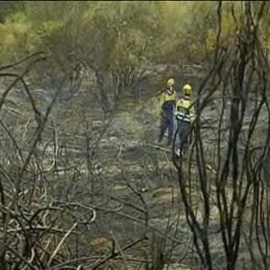 Un incendio en Tiana, Barcelona, quema 1,5 hectáreas