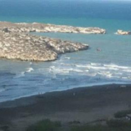 Avalancha de inmigrantes