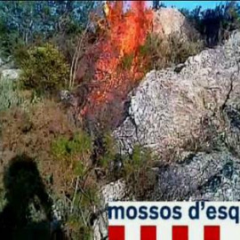 Detenidos dos menores por provocar al menos ocho incendios en Girona