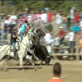 Declarado nulo el toro de la Vega
