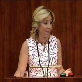 Aguirre asegura que Eurovegas no "gozará de ningún privilegio"