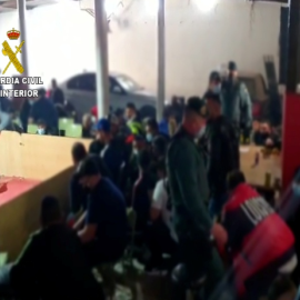 La guardia Civil detiene al menos 81 persona en peleas de gallos ilegales en El Ejido.