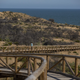 09/06/2020-Nueva pasarela de Cuesta Maneli en el Espacio Natural de Doñana (Almonte, Huelva, Andalucía), a 09 de junio de 2020