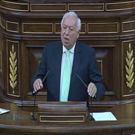 García-Margallo habla de "nazismo y marxismo" en el Congreso de los Diputados