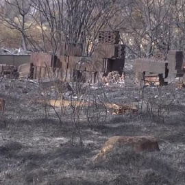 Horas de tensión con consecuencias devastadoras