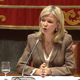 El CGPJ tiene "amplísimas dudas" sobre la constitucionalidad de la reforma del Código Penal 