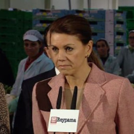 Cospedal entiende que el caso de Bárcenas pueda provocar 
