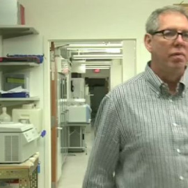 "Hay que ver la obesidad como una diferencia biológica, no como un fracaso personal"