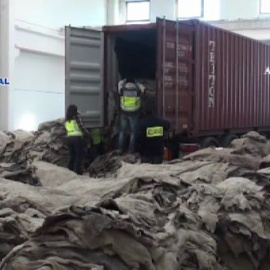 Interceptados 277 kilos de cocaína ocultos entre pieles de bovino y sal