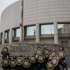 La Alianza Contra el Borrado de las Mujeres en la puerta del Senado.