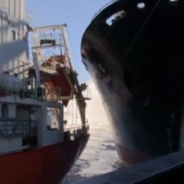 Choque en la Antártida entre ecologistas australianos y japoneses cazadores de ballenas