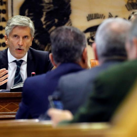 El ministro del Interior, Fernando Grande-Marlaska, durante su comparecencia en el Senado.- EFE/Juan Carlos Hidalgo