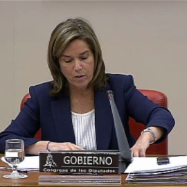  Mato asegura que el fraude por la carne de caballo no afecta a la salud pública