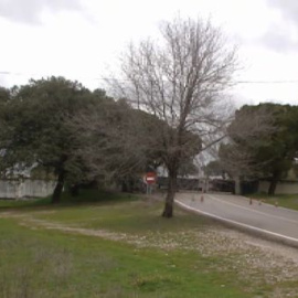 Corinna: su residencia y el CNI