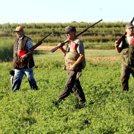 Veto als caçadors en temps de pandèmia