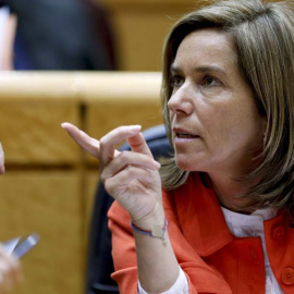 Ana Mato asegura que el PP está actuando 
