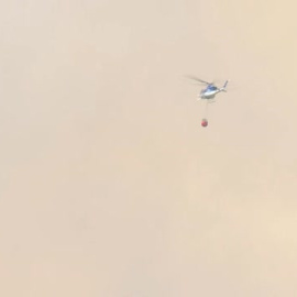 Las llamas entran en el parque nacional de Monfragüe