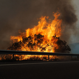 Incendio en O courel