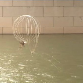 Detienen a la mujer que cayó al río Guadalquivir con su hijo de cuatro años