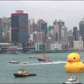 Un pato gigante surca las aguas de Hong Kong