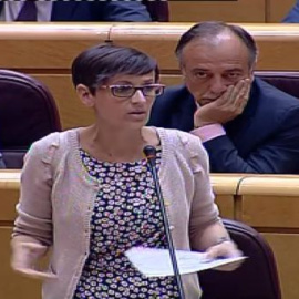 Chivite Navascués a Gallardón: "¿Qué es lo que se ha tomado el ministro del Interior para decir que el aborto tiene que ver con ETA?"