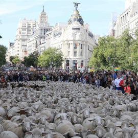 Ovejas en la Fiesta de la Transhumancia./EP
