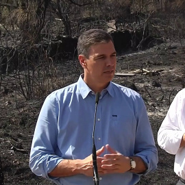 Pedro Sánchez: ¨Quisiera trasladar una evidencia y es que el cambio climático mata"