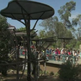 Inauguran un hábitat australiano en el zoológico de San Diego