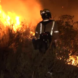 El 20% de los incendios que asolan España son intencionados