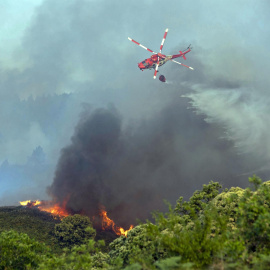 El incendio forestal que afecta a los municipios tinerfeños de Los Realejos y San Juan de la Rambla (Tenerife) es "pequeño pero con mucha potencialidad de extenderse".