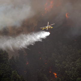 Un helicóptero contra incendios descarga agua sobre un incendio forestal en Tenerife Norte, a 23 de julio de 2022, en Tenerife, Santa Cruz de Tenerife, Canarias.