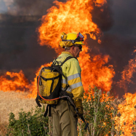 Un bombero observa las llamas del incendio declarado este domingo por la tarde en el término municipal de Quintanilla del Coco, en Burgos, que ha obligado a evacuar a media docena de municipios, entre ellos Santo Domingo Silos y a los monjes del monaster