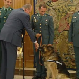El Rey se inclina ante el perro de la guardia civil