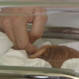 Los nacimientos podrán registrarse desde el hospital