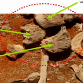 Declara la perito que identificó los huesos de Las Quemadillas 
