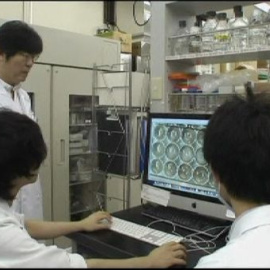 Primer hígado humano a partir de células madre